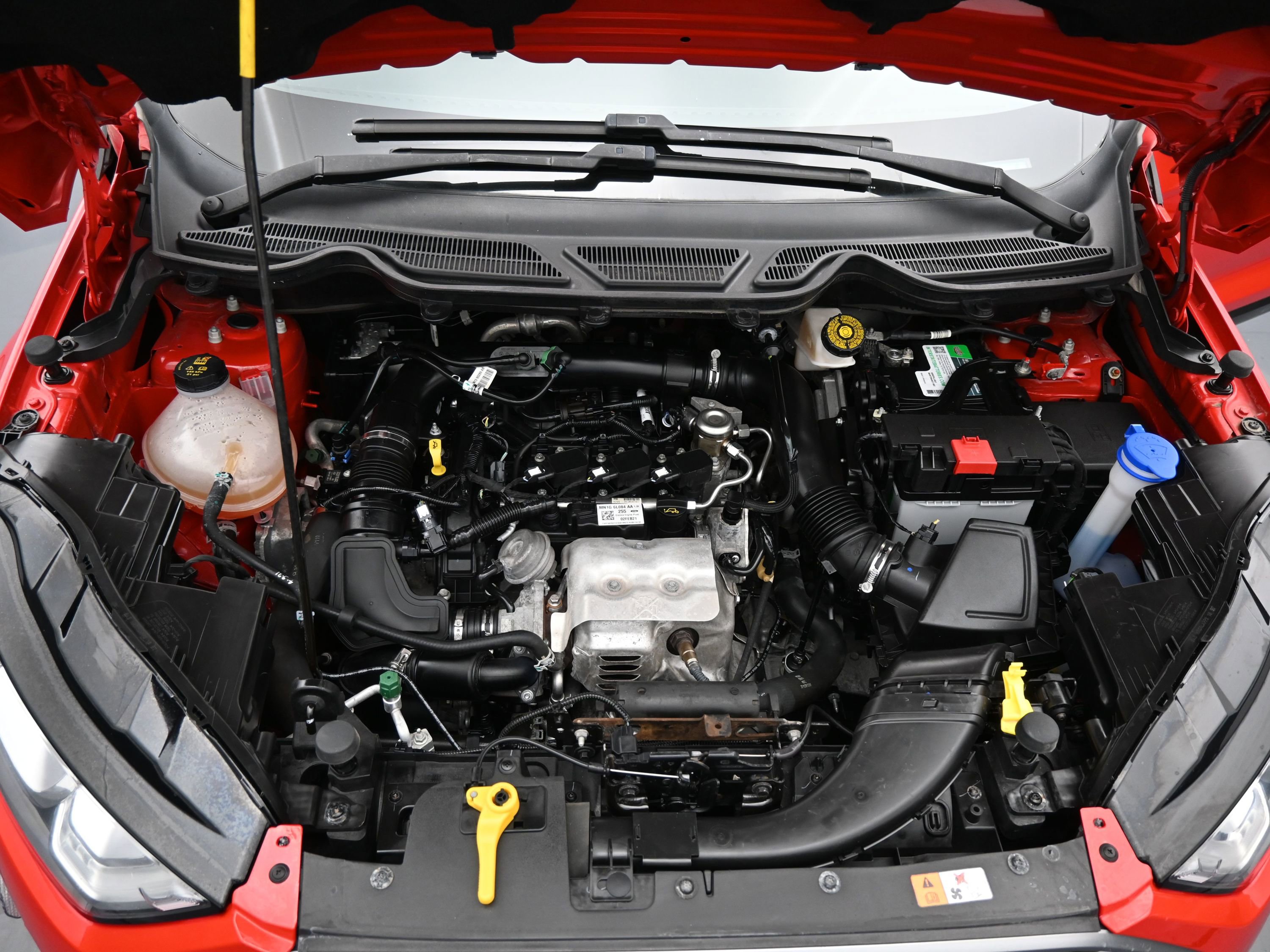 Showcase Image