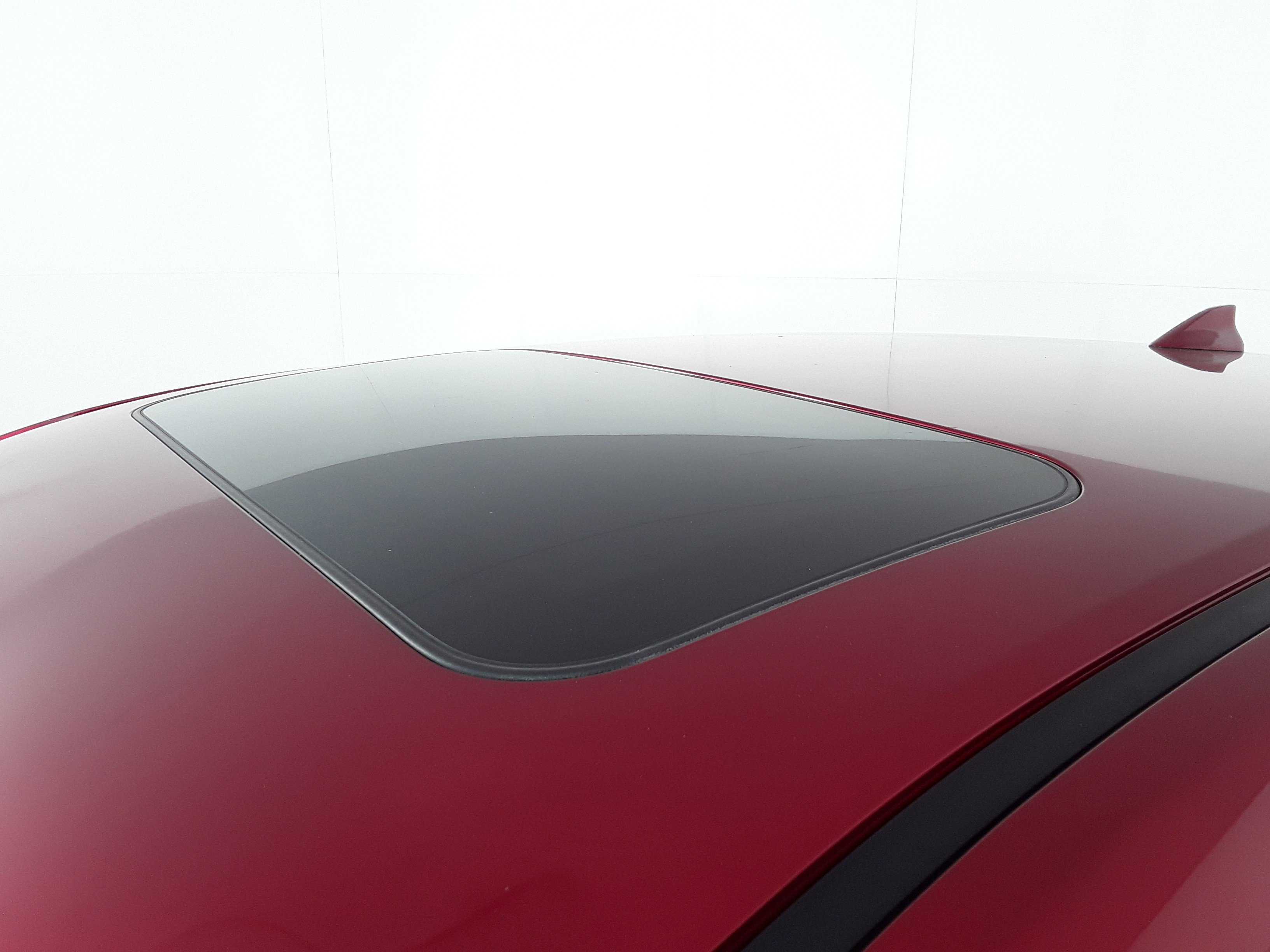 Showcase Image