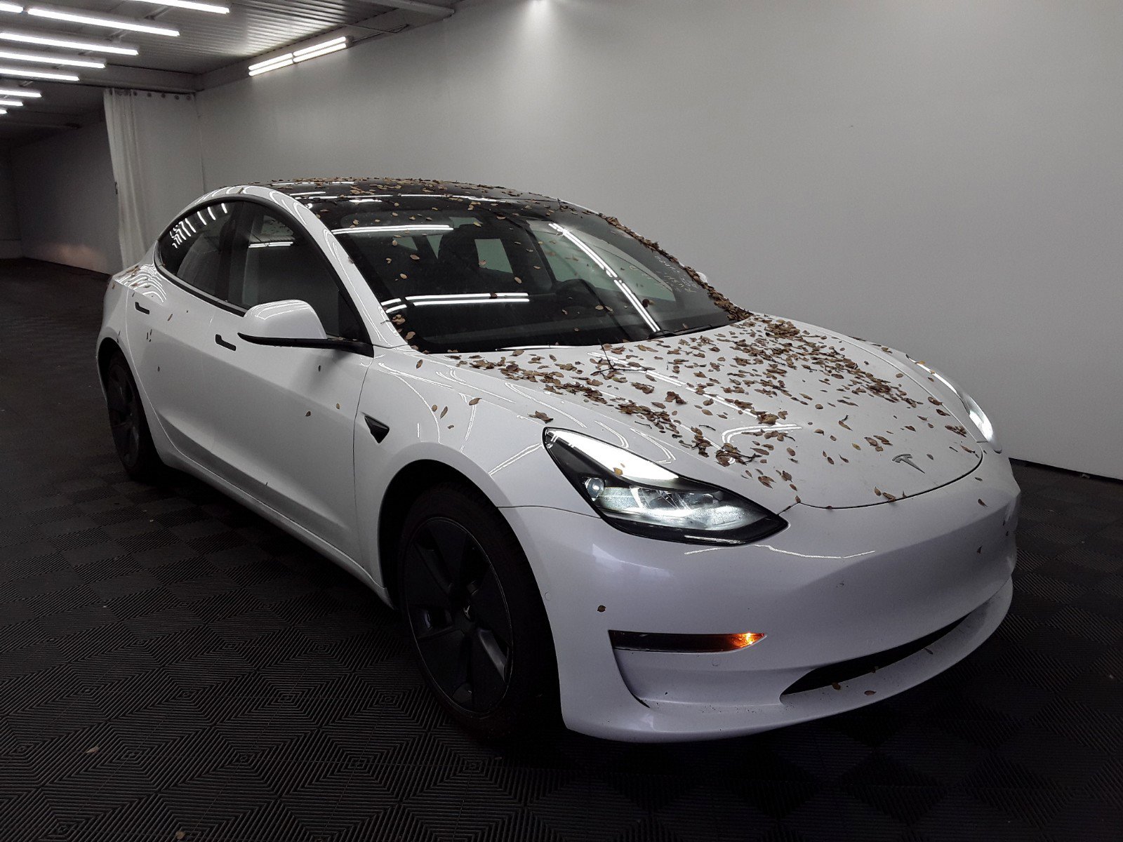 2021 Tesla Model 3 Standard Range Plus RWD