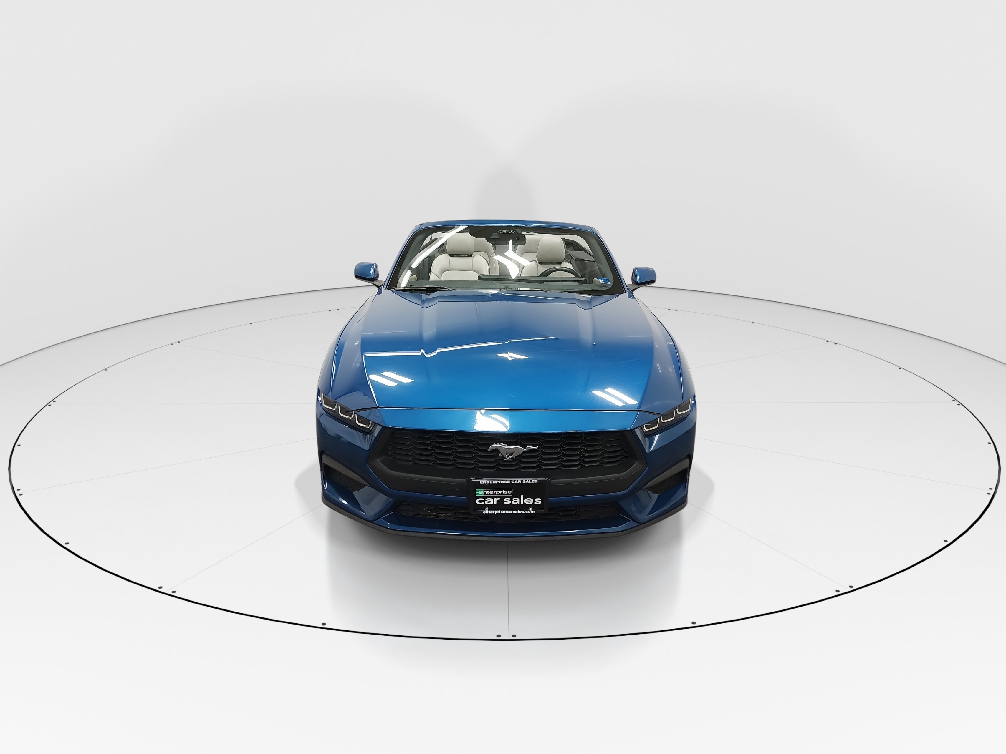 Showcase Image