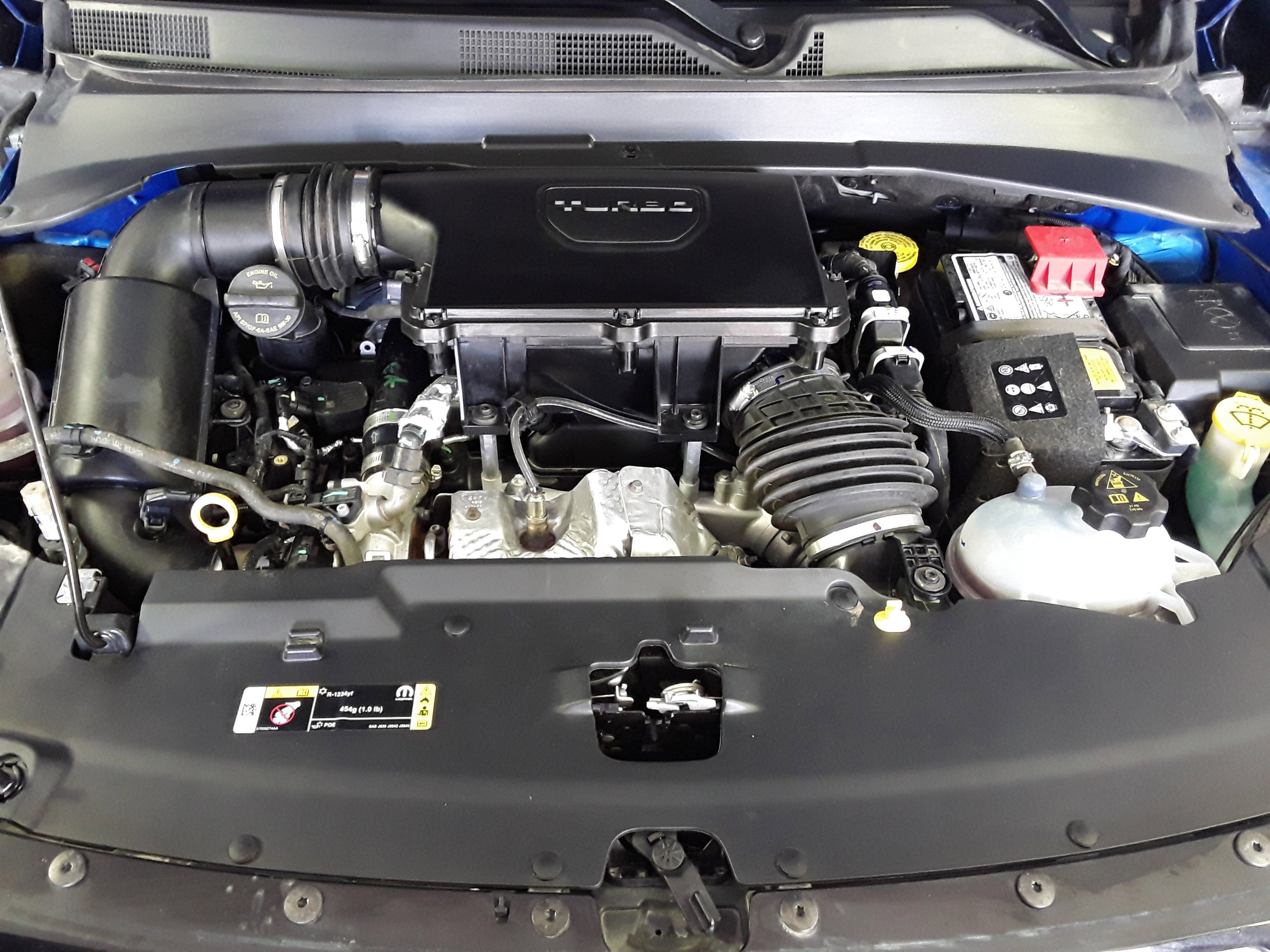 Showcase Image
