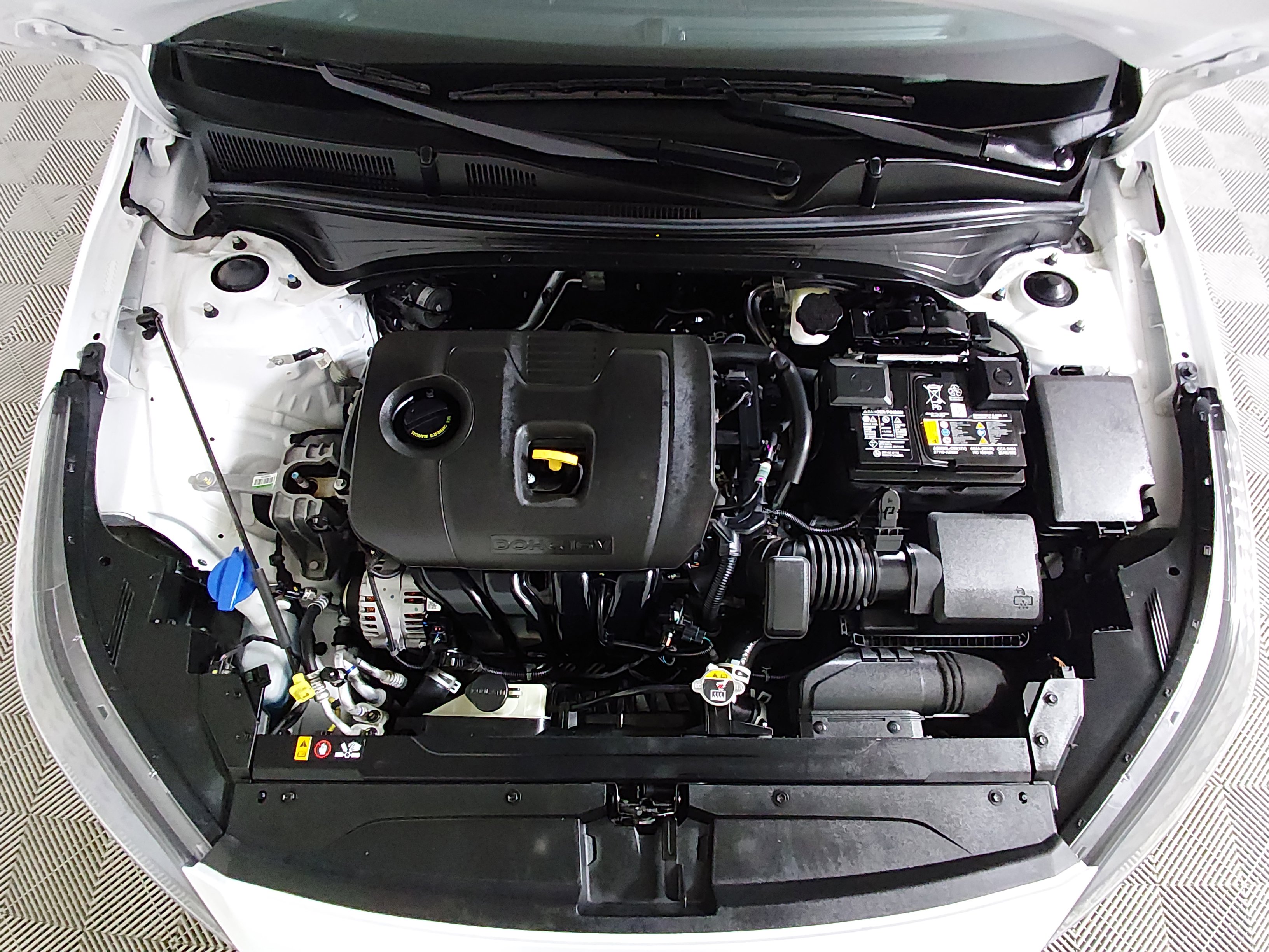 Showcase Image