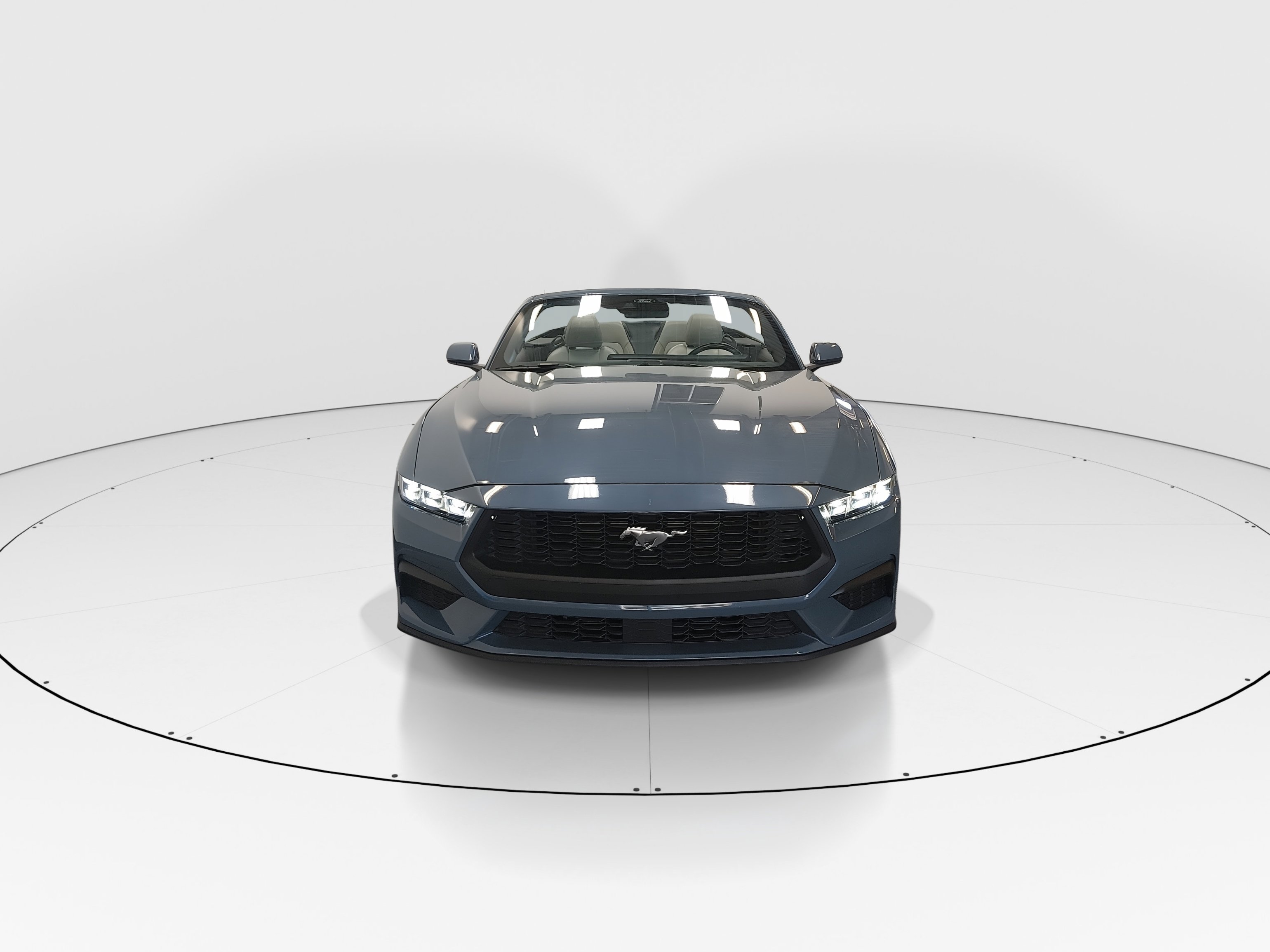 Showcase Image