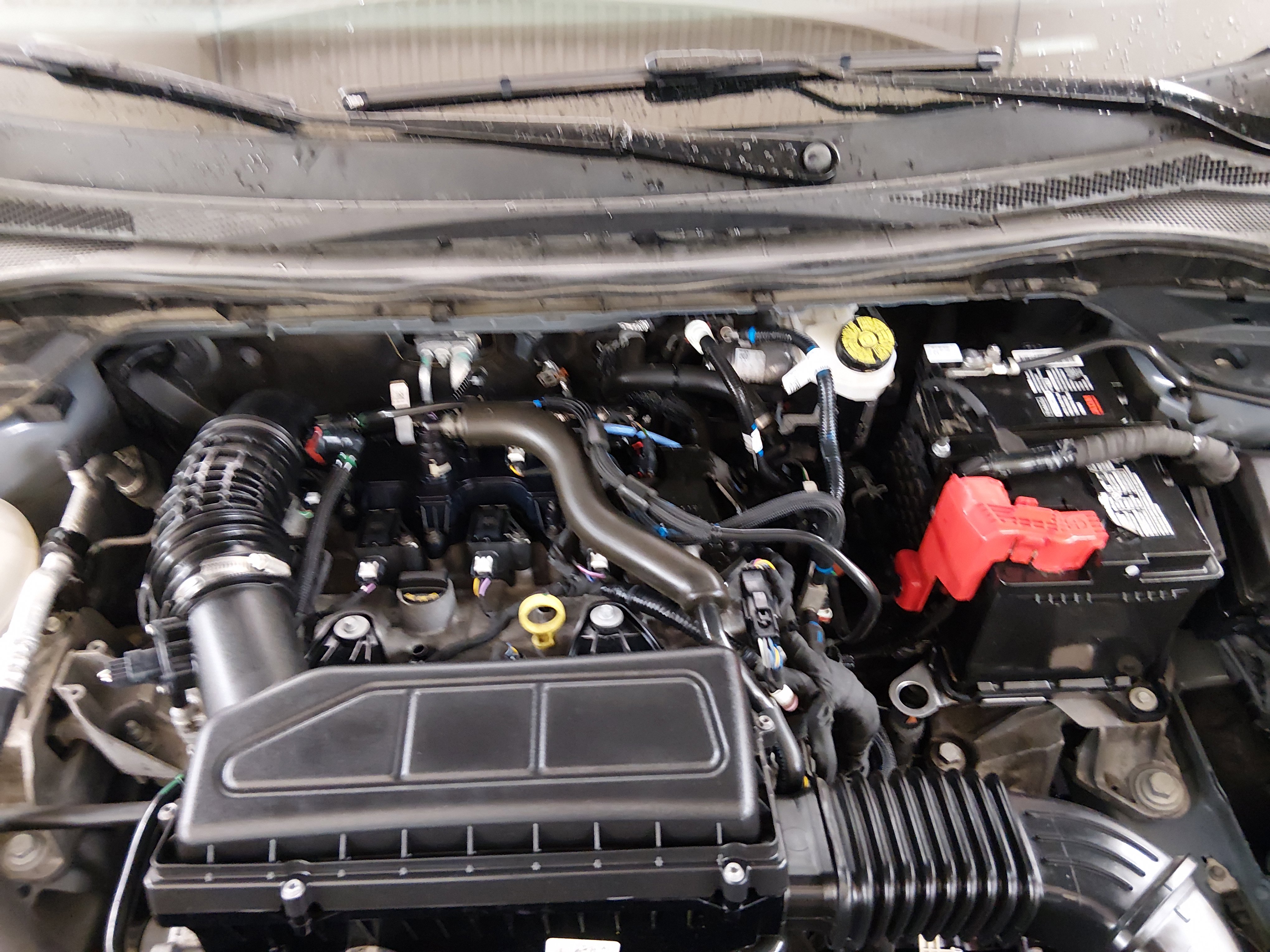 Showcase Image