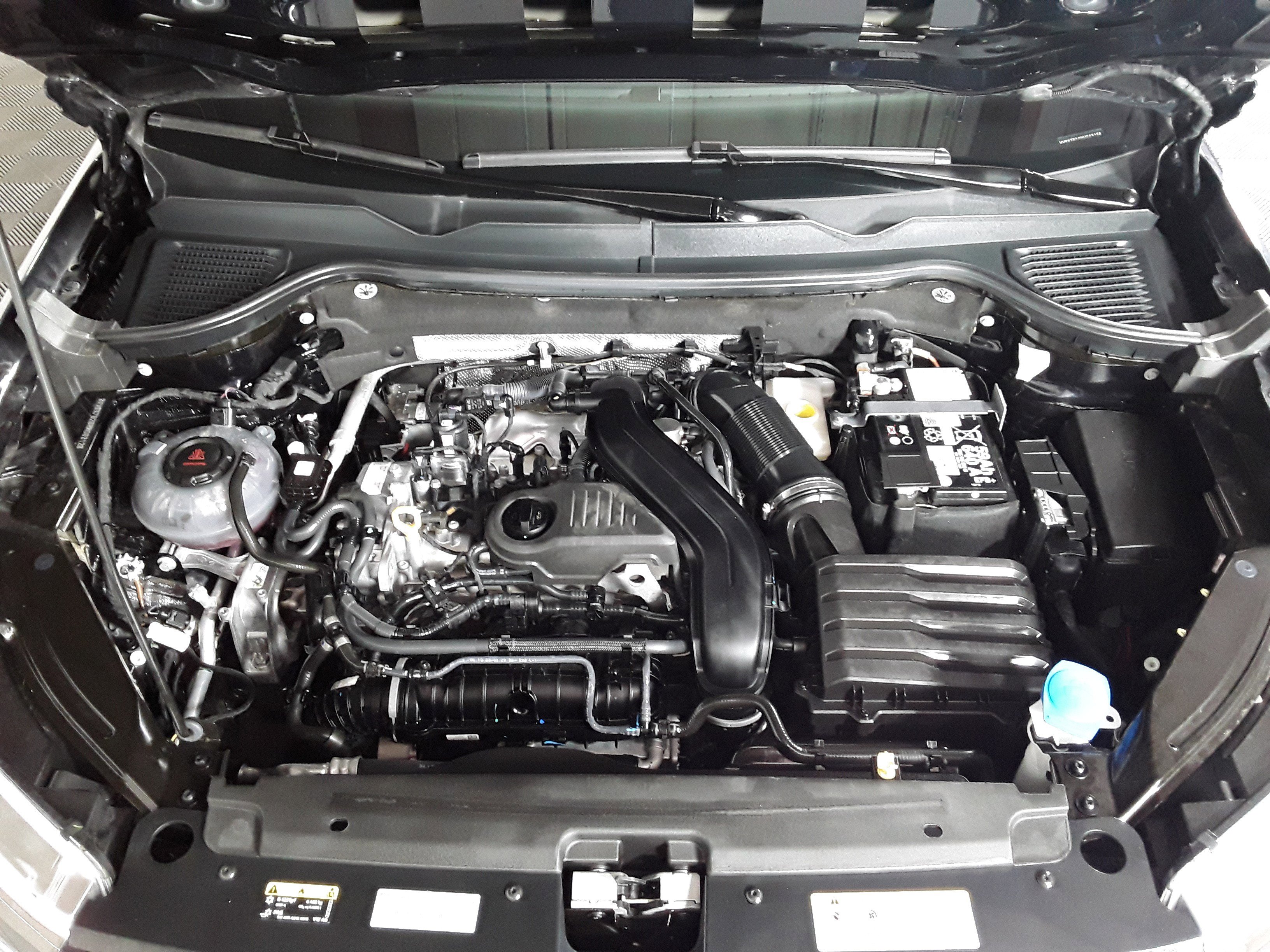 Showcase Image