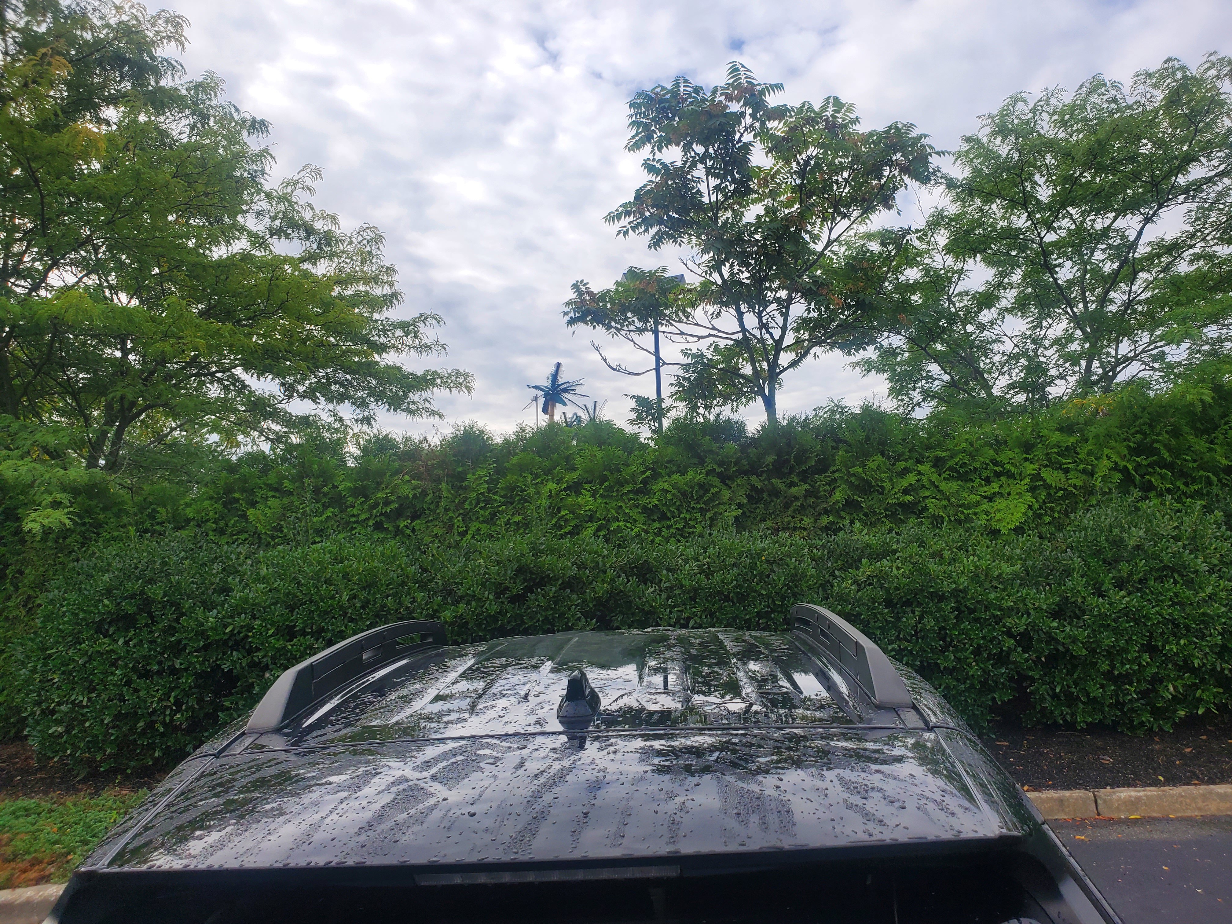 Image of Used 2022 Toyota RAV4 Adventure AWD