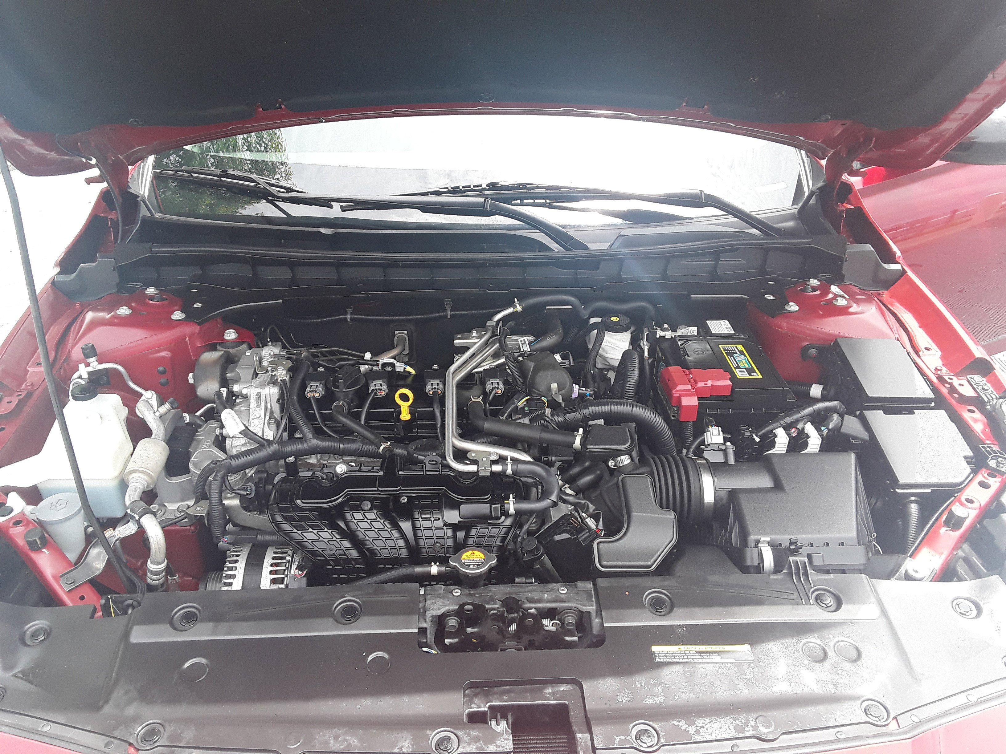 Showcase Image