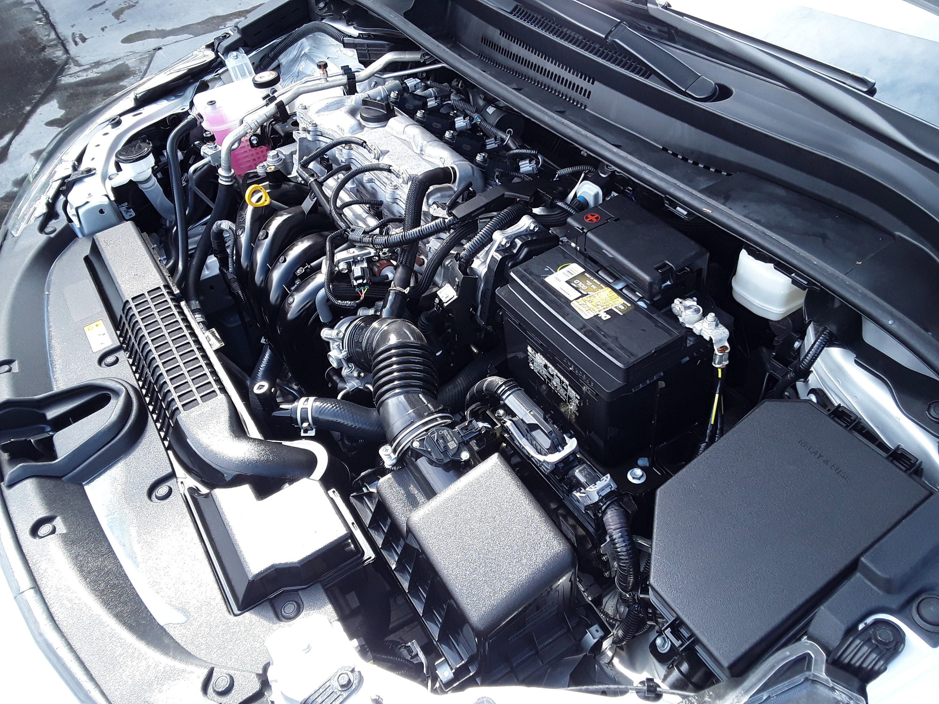 Showcase Image